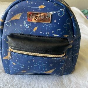 Warner Bros. Blue Backpack